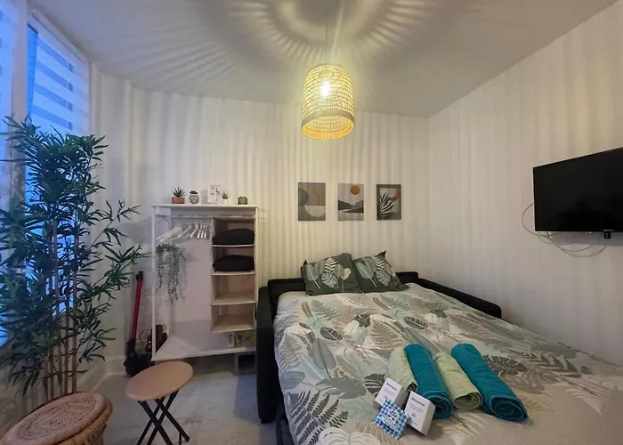 Le Petit Bali - Appartement Vichy